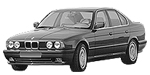 BMW E34 P20E0 Fault Code